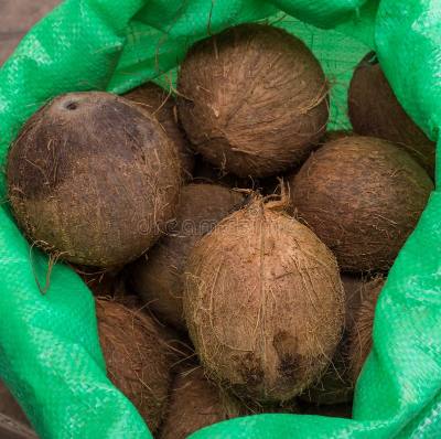 Noix de coco