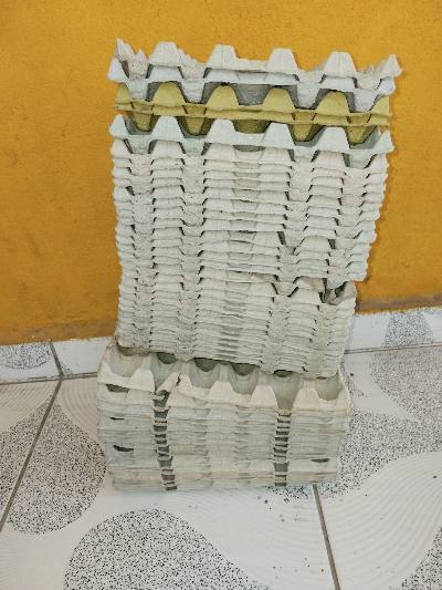 Don boîtes à œufs